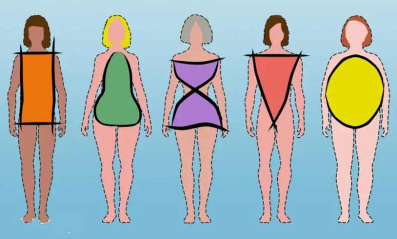 اکتومورف بانوان تیپ بدنی