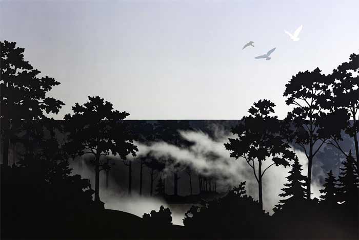 جنگل شب و روز