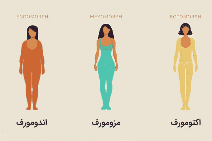 بدنسازی بانوان تیپ بدنی مزومورف بانوان: 9 ترفند کاربردی و زنان اندومورف معروف
