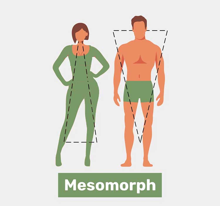 بدنسازی بانوان ویژگیهای کلیدی یک زن مزومورف: